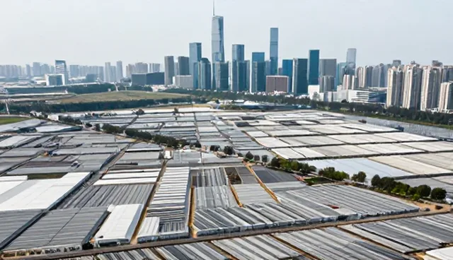 监控机制对管理软件可靠性提升的关键影响